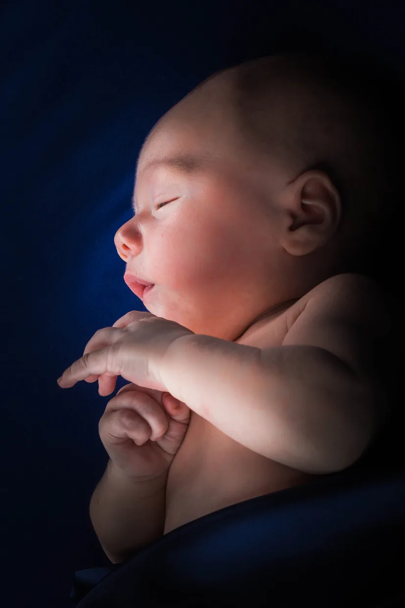 Cherubic newborn pose with plush toys at Sky Portraits, Sydney - baby photography