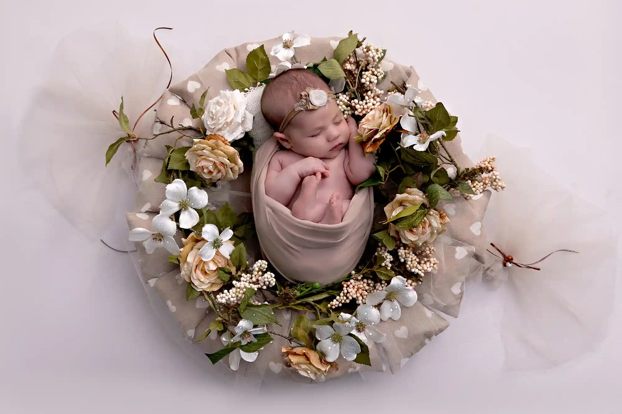 Cherubic newborn pose with plush toys at Sky Portraits, Sydney - baby photography